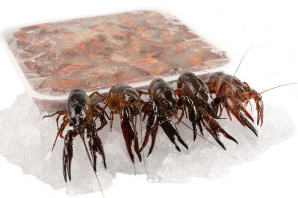 Raw frozen crayfish