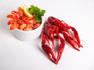 Tails Crayfish MAP