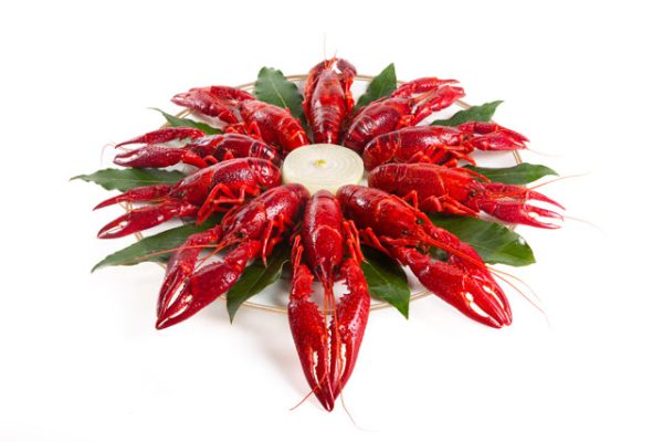 Whole Crayfish a la nage