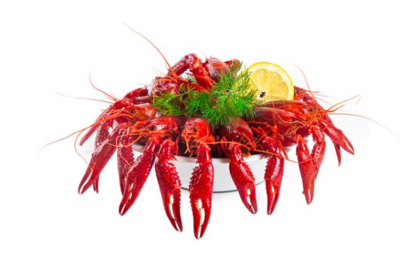 Whole Crayfish in dill sauce