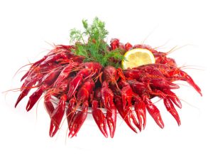Whole Crayfish in dill sauce