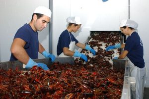 our production process