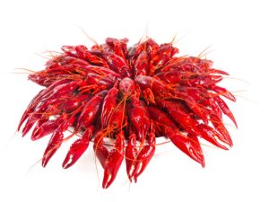Whole Crayfish Cooked and Frozen